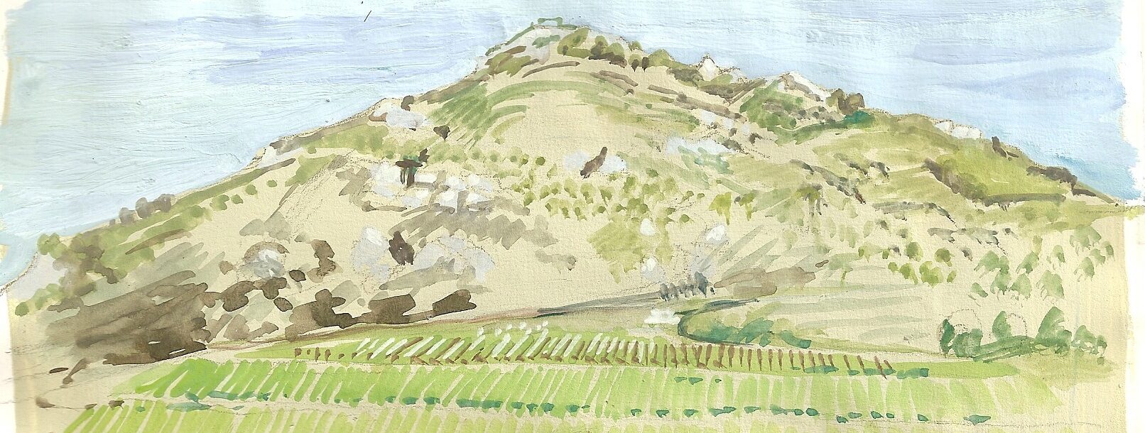 dessinforca